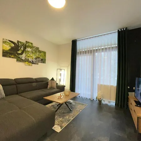 Mariposa 4 Incl Pool & Sauna Bad Harzburg