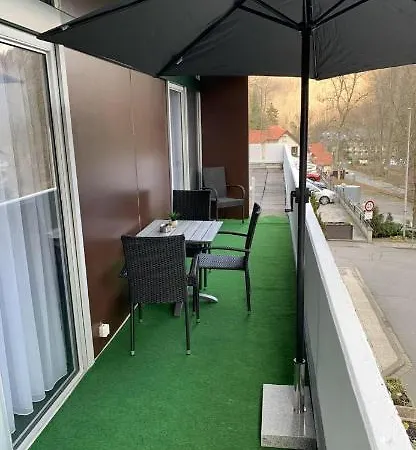 Mariposa 4 Incl Pool & Sauna * Bad Harzburg